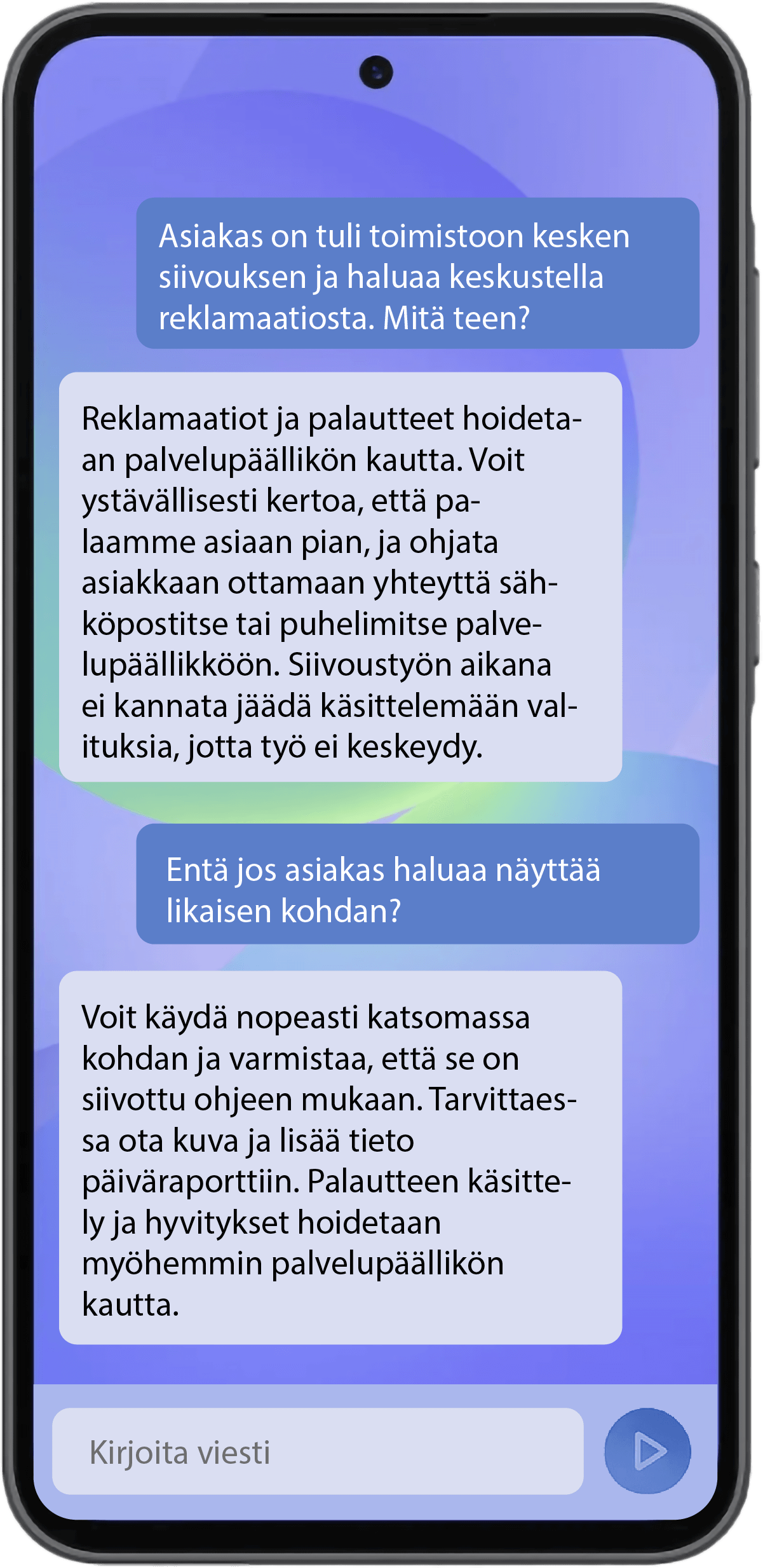 Siivous_botti_1