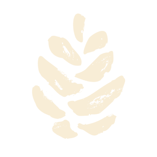 VIIDES.AI